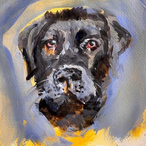 Paint your pet, Friday Evening 4th of April