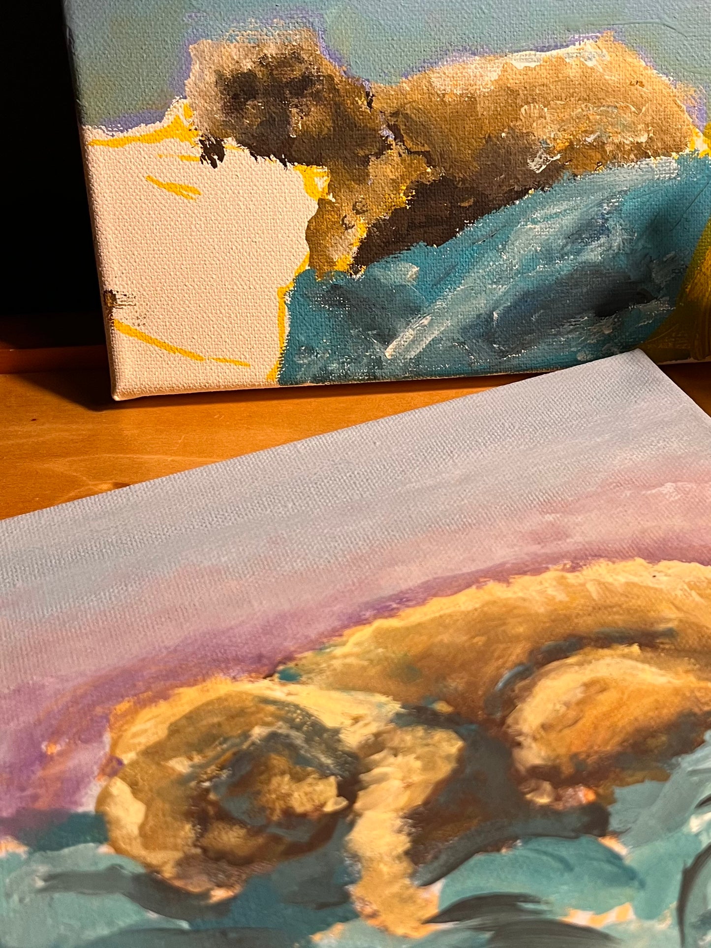 Paint your pet 10-16 year olds