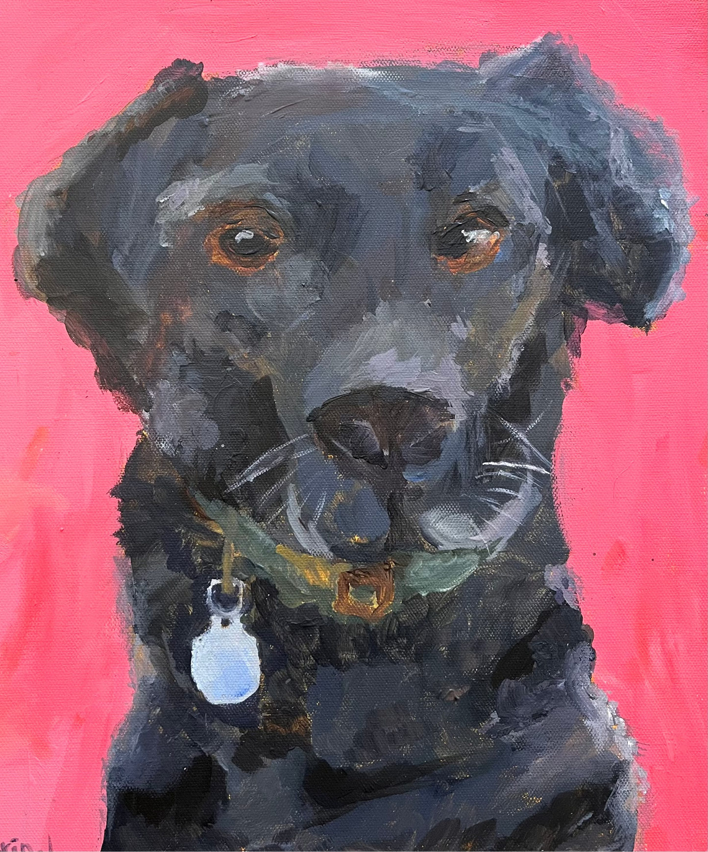 Paint your pet 10-16 year olds