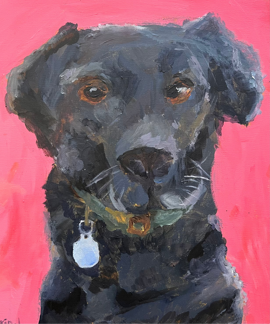 Paint your pet 10-16 year olds